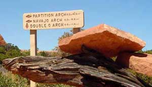 Arches National Park 
Devils Garden