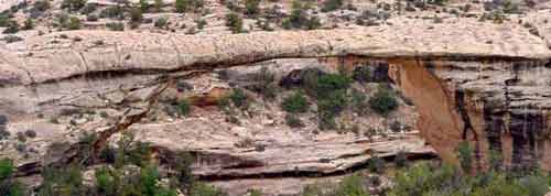 Natural Bridges National Monument 
Owachomo Bridge