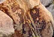 Petrified Forest National Park 
Rock Painting