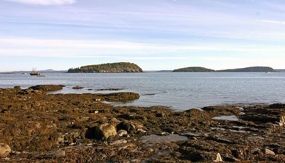 Acadia National Park Bar Harbor