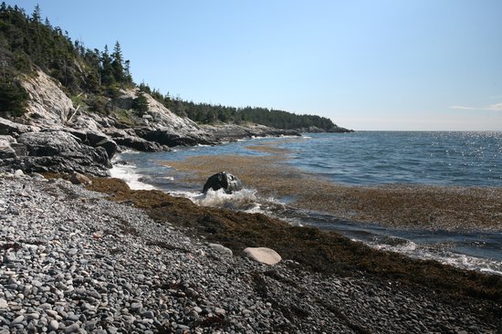 Acadia National ParkIsle au Haut