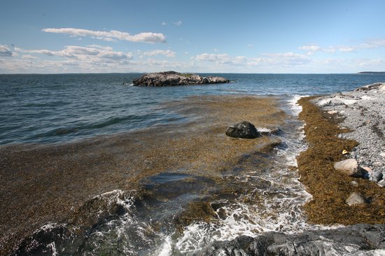 Acadia National ParkIsle au Haut