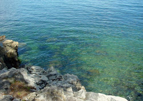 Acadia National Park 
Schoodic Peninsula