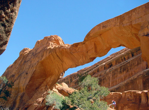 Arches National Park 
Wall Arch 