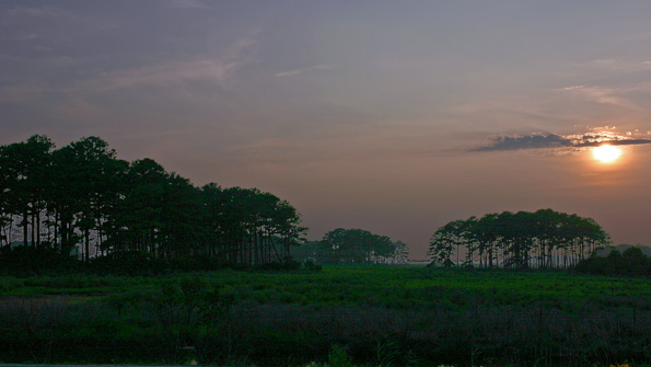 Assateague Island National SeashoreChincoteague