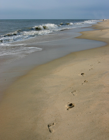 Assateague Island National SeashoreChincoteague