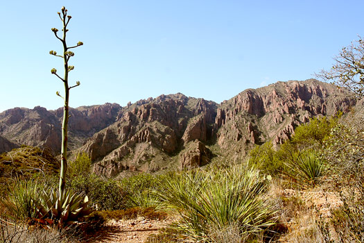 Big Bend National ParkBasin Loop