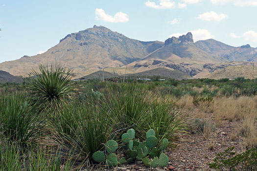 Big Bend National ParkPanther Junction East