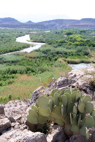 Big Bend National ParkRio Grande Village