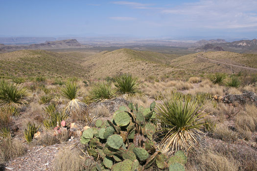 Big Bend National ParkSotol Vista OVerlook