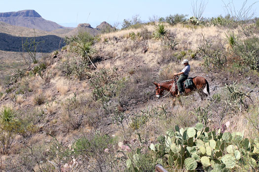 Big Bend National ParkHomer Wilson Ranch