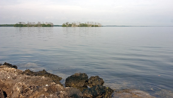 Biscayne National Park
 Convoy Point