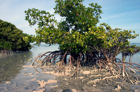 Biscayne National Park
 Boca Chita