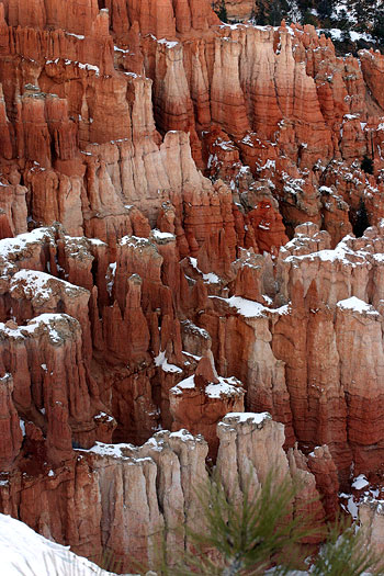 Bryce Canyon National Park 
Winter 06