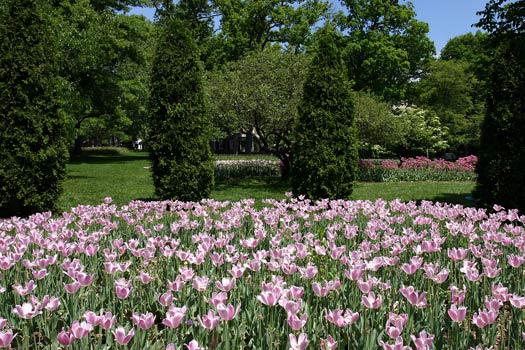 Baltimore Sherwood Gardens