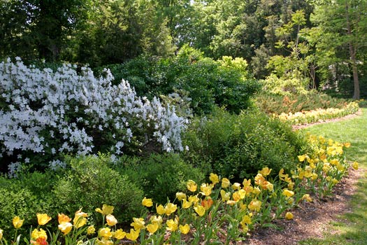 Baltimore Sherwood Gardens