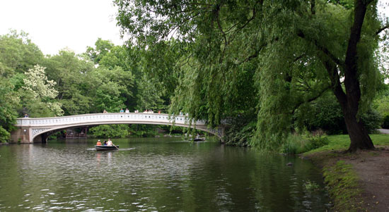 New York Central Park