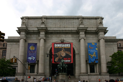 New York Museum of Natural History