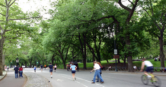 New York Central Park