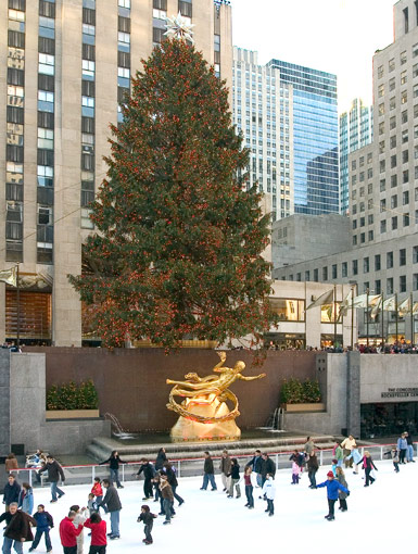 Skating Rink and Christmas Tree