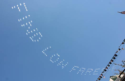 New York&nbsp;Oyster Festival