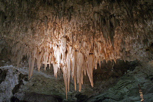 Carlsbad Caverns National Park Big Room