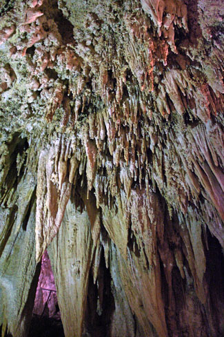 Carlsbad Caverns National Park King's Palace