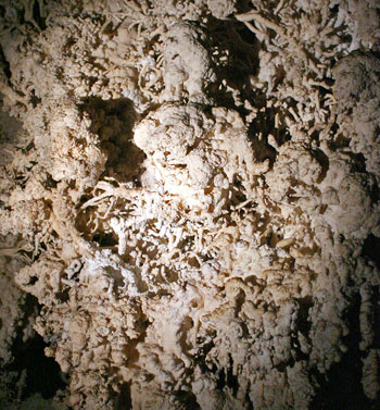 Carlsbad Caverns National Park King's Palace