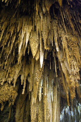 Carlsbad Caverns National Park King's Palace