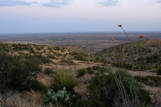 Carlsbad Caverns National Park