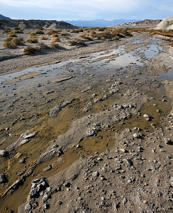 Death Valley National Park 
Salt Creek