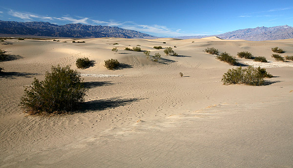 Death Valley National Park 
Sand Dunes