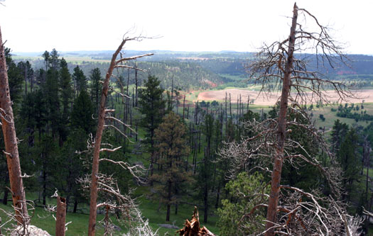 Devils Tower National Monument