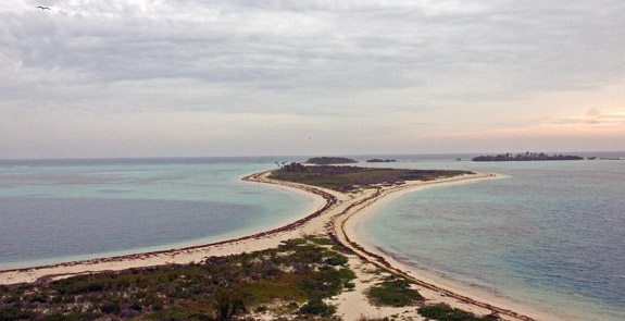 Dry Tortugas National Park
 Bush Key