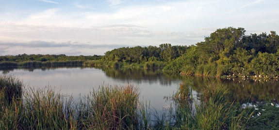 Everglades National Park
 Eco Pond