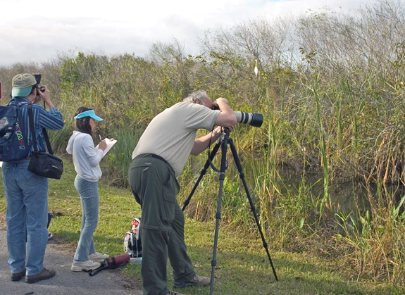 Everglades National Park
 Photographers