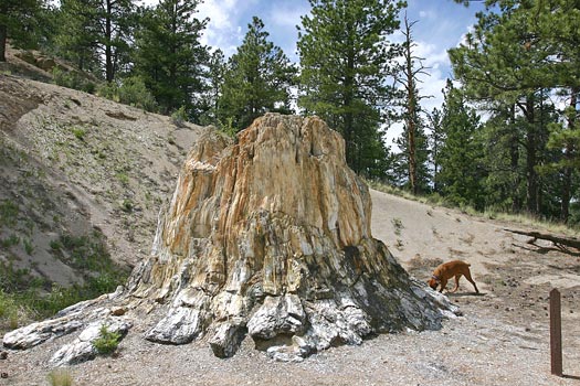 Florissant Fossil Beds National Monument