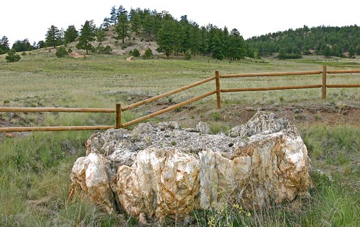 Florissant Fossil Beds National Monument