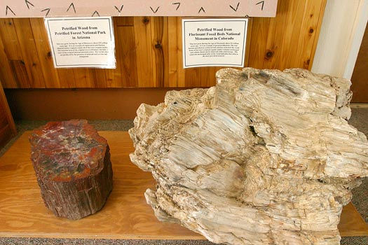 Florissant Fossil Beds National Monument