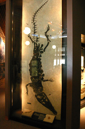 Fossil Butte National Monument