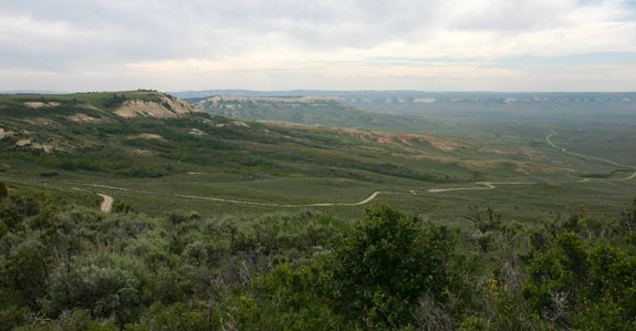 Fossil Butte National Monument