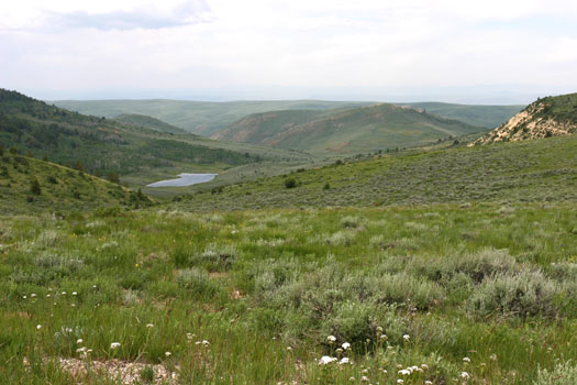 Fossil Butte National Monument