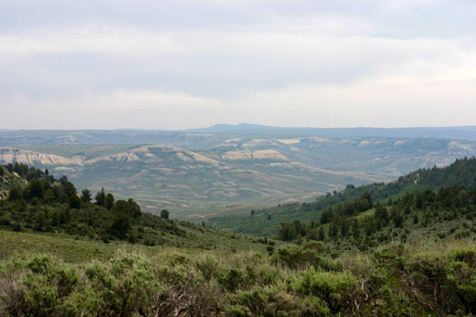 Fossil Butte National Monument