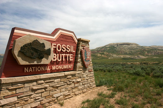 Fossil Butte National Monument