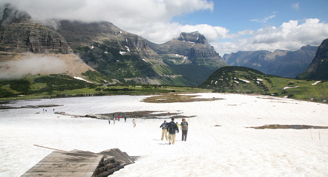 Glacier National Park 
Logan Pass, Hidden Lake Trail