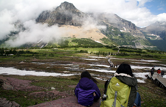 Glacier National Park 
Logan Pass, Hidden Lake Trail