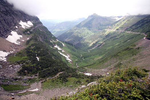 Glacier National Park 
Logan Pass, Highline Trail