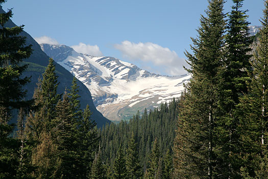 Glacier National Park 
Jackson Glacier