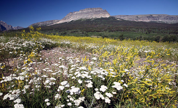 Glacier National Park 
Saint Mary