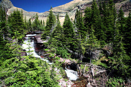 Glacier National Park 
Ptarmigan Falls